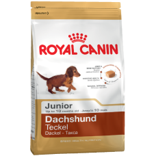 Dachshund Junior Royal Canin